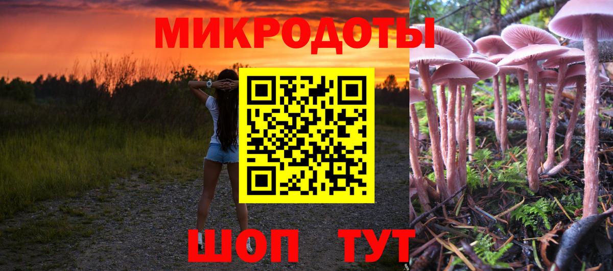 Галлюциногенные грибы Magic Shrooms Сертолово