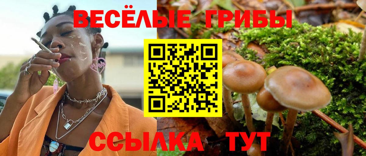 Галлюциногенные грибы MAGIC MUSHROOMS  Вход с VPN  Сертолово 